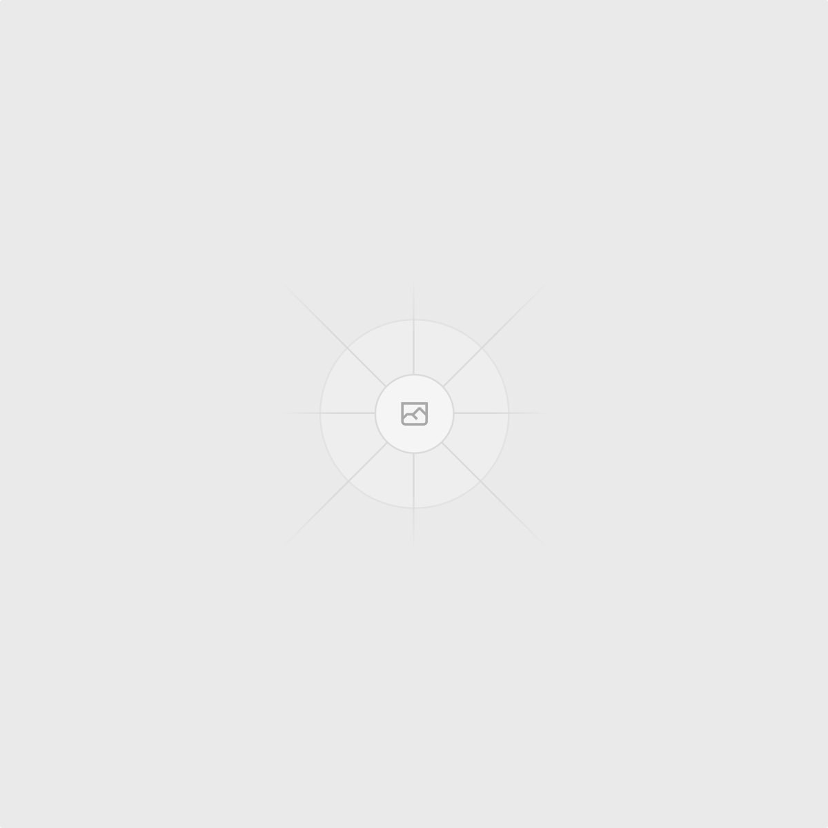 Shopify SEO services by RankRace